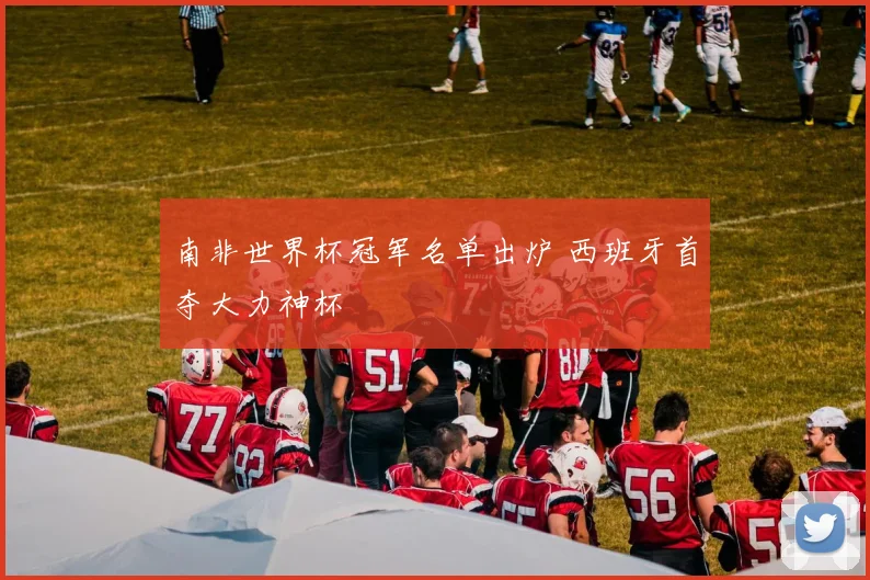 南非世界杯冠军名单出炉 西班牙首夺大力神杯
